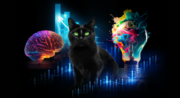 Ad-Cat